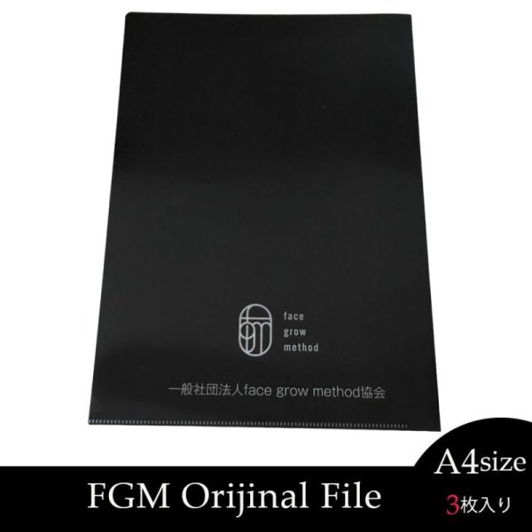 画像2: FGM Original File (A4サイズ/3枚入り) (2)