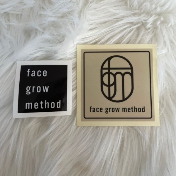 画像1: FGM Original Sticker Set (1)