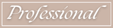 Professional Badge